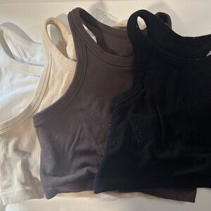 BuffBunny Ribbed Crop Tops - Black, Brown, Cream